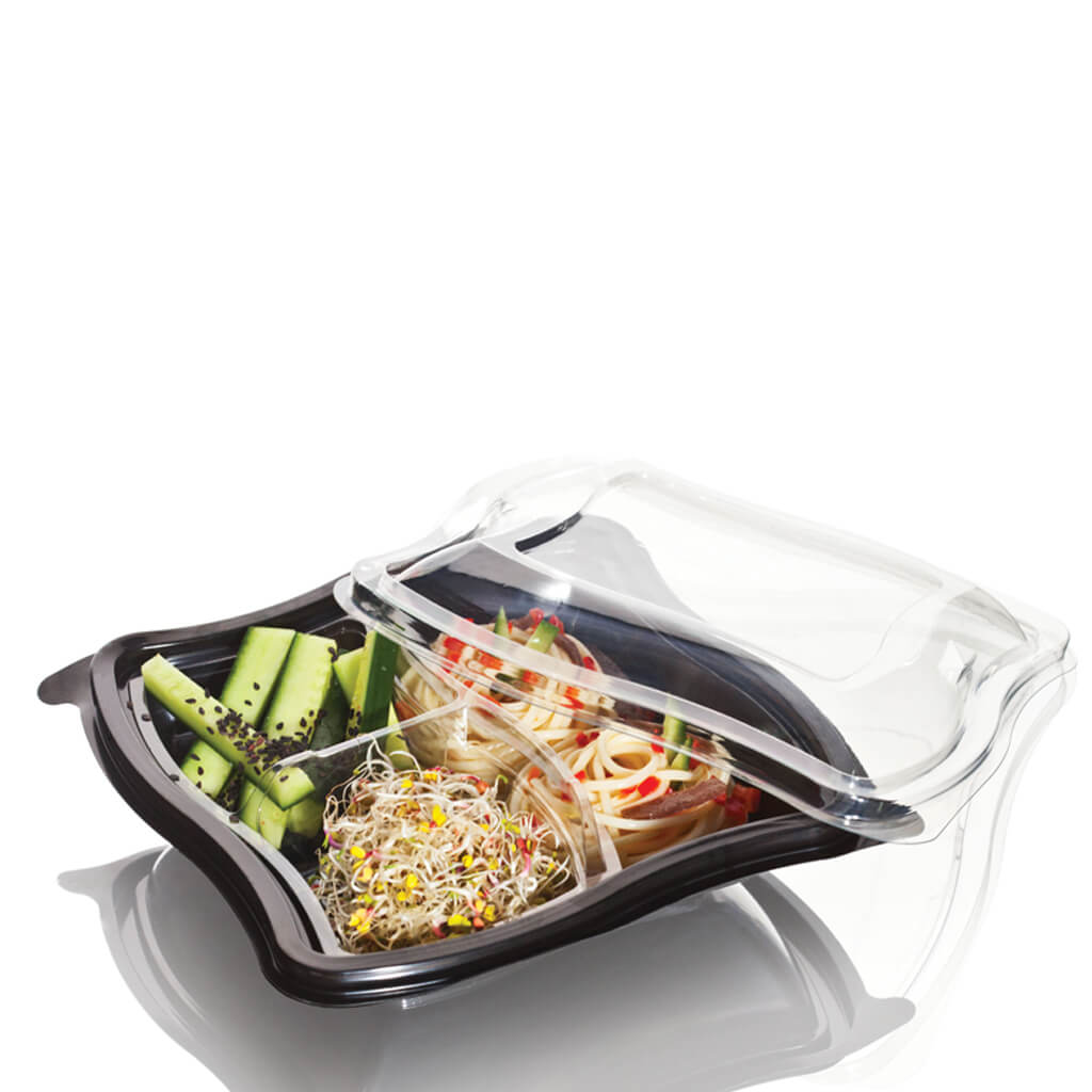  Wave - hinged lids containers